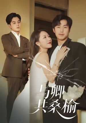 【与卿共桑榆】63集短剧免费全集在线赏映