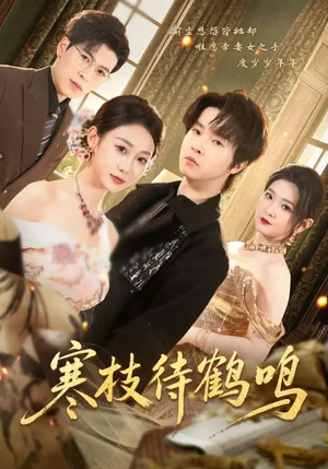 【寒枝待鹤鸣】70集短剧全集在线免费观影
