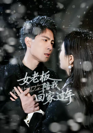【女老板陪我回家过年】40集短剧免费畅享观看