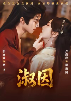 【淑因】65集短剧完整免费赏看