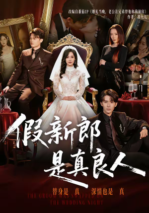 假新郎是真良人（67集）精彩短剧随心推
