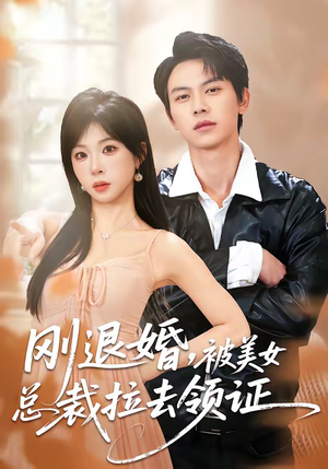 刚退婚，被美女总裁拉去领证（81集）追短剧关注我