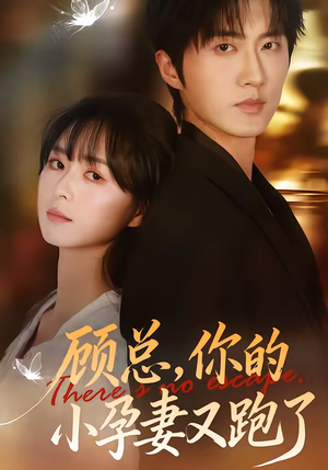顾总，你的小孕妻又跑了（47集）短剧免费观看