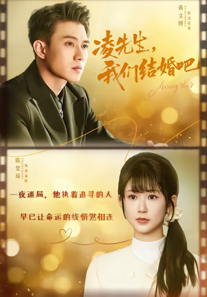 凌先生，我们结婚吧（68集）热门爆款短剧