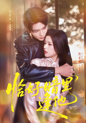 恰好暗里逢他（66集）直接追到结尾