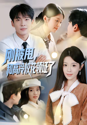 【刚被甩，和高冷校花领证了】67集短剧在线免费观享