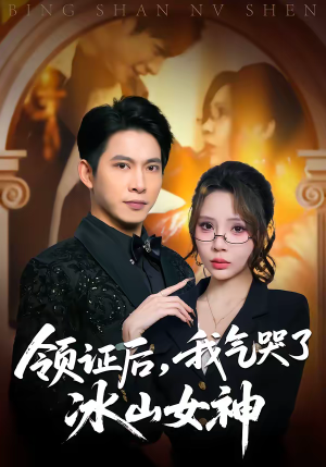 领证后，我气哭了冰山女神（60集）最新热播短剧