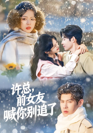 【许总，前女友喊你别追了】80集短剧全集免费畅享观看