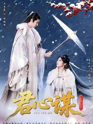 【君心谋】80集热门短剧免费在线赏看