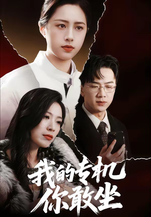 【我的专机你敢坐】62集短剧免费全集随心看