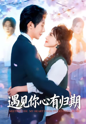 【遇见你心有归期】81集短剧全集在线播放