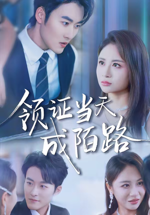 【领证当天成陌路】39集短剧全集免费在线播放
