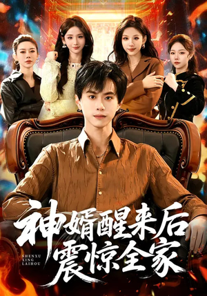 【神婿醒来后震惊全家】80集短剧免费资源在线看