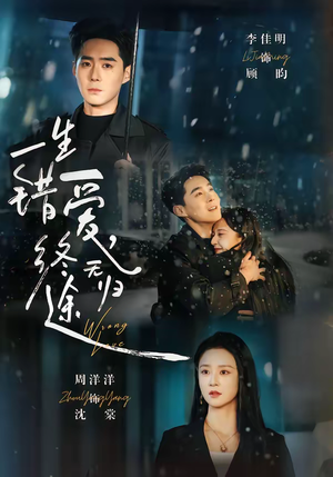 【一生错爱，终无归途】74集短剧免费高清在线观看