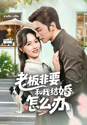 【老板非要和我结婚怎么办】50集短剧在线免费全集品鉴
