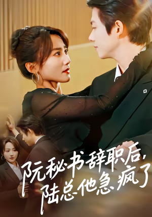 【阮秘书辞职后，陆总他急疯了】80集短剧在线高清赏阅