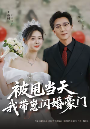 【被甩当天我带崽闪婚豪门】70集短剧全集在线速看