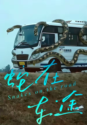 【蛇在车途】34集短剧免费完整版观看