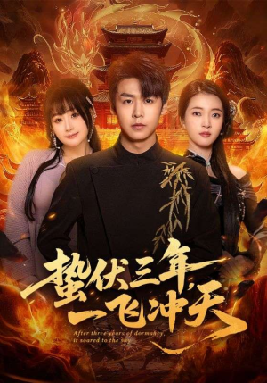 【蛰伏三年，一飞冲天】60集短剧在线免费观瞧