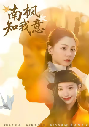 【南枫知我意】41集短剧完整版免费在线播放