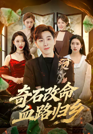 【奇石改命血路归乡】81集精彩短剧在线观看