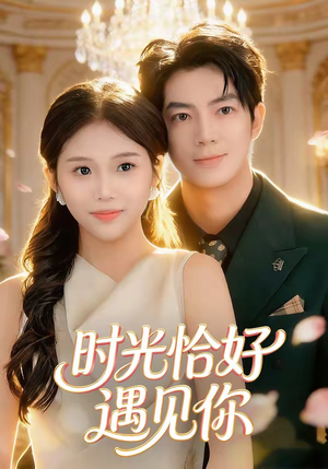 【时光恰好遇见你】80集优质短剧免费在线赏鉴