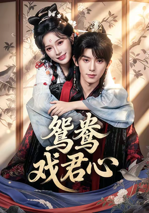 【鸳鸯戏君心】60集短剧免费全集在线畅快看