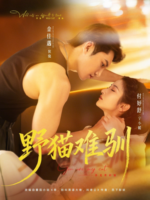 【野猫难驯】73集短剧在线免费全集畅享
