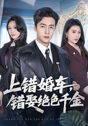 【上错婚车，错娶绝色千金】80集免费短剧全集线上看