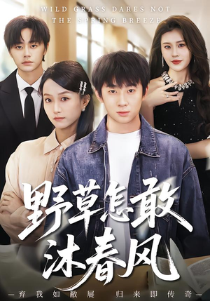 【野草怎敢沐春风】61集免费短剧在线赏阅