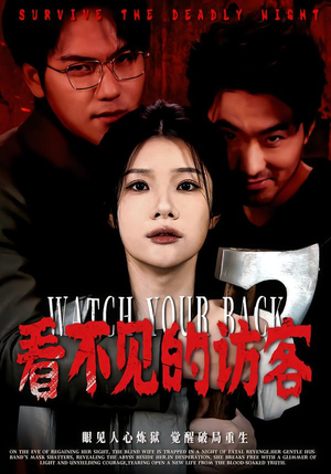 【看不见的访客】62集高清短剧免费在线观看