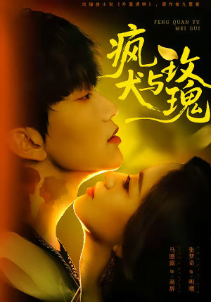 疯犬与玫瑰(80集) 疯犬与玫瑰(80集)全集