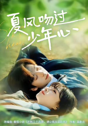 夏风吻过少年心（76集）排行榜前十短剧