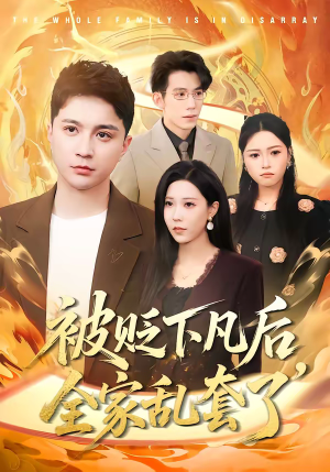 被贬下凡后全家乱套了(88集) 被贬下凡后全家乱套了(88集)热门短剧分享