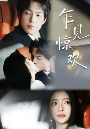 【乍见惊欢】60集短剧免费高清在线看