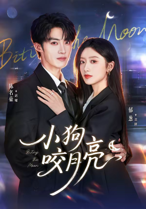 小狗咬月亮（66集）大结局一气呵成