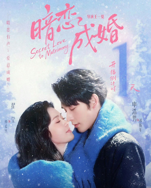 暗恋成婚（60集）免费看