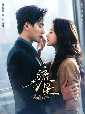 流星（77集）口碑之选免费看