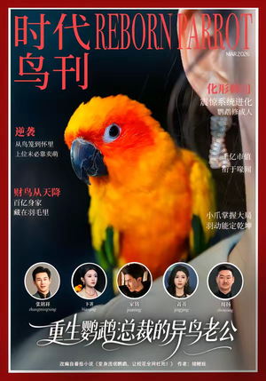 重生鹦鹉：总裁的异鸟老公（80集）更新时间一览表