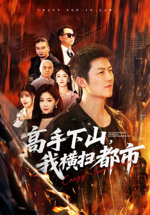 【高手下山，我横扫都市】69集短剧免费高清观看