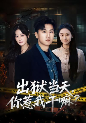 【出狱当天，你惹我干嘛？】62集精彩短剧免费在线看