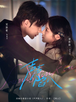 声声陷入(73集) 声声陷入(73集)短剧在线观看