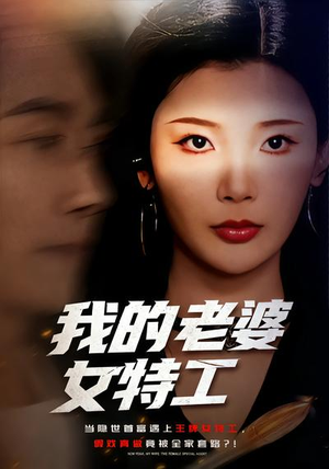 【我的老婆女特工】62集短剧免费高清在线观看