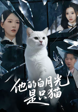 他的白月光是只猫（69集）完整版