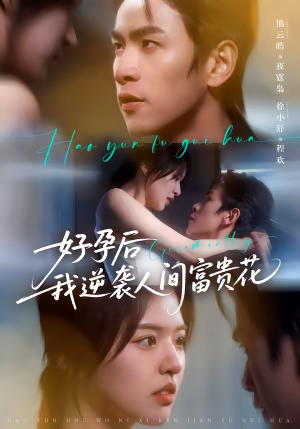 夜先生的小欢喜（71集）全集完整版