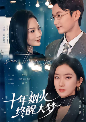 【十年烟火，终醒大梦】60集优质短剧在线免费收看