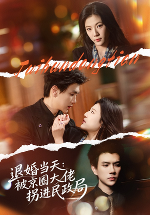 退婚当天：被京圈大佬拐进民政局（80集）好看上头短剧