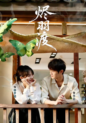 烬羽渡（50集）怎么看全集