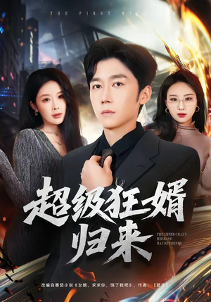 超级狂婿归来(81集) 超级狂婿归来(81集)流畅播放免费看