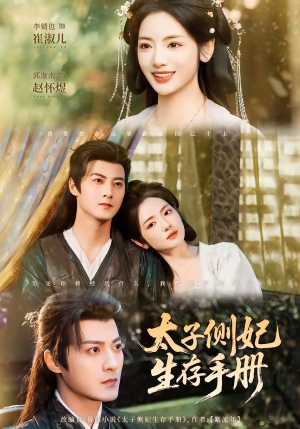 太子侧妃生存手册（63集）解说